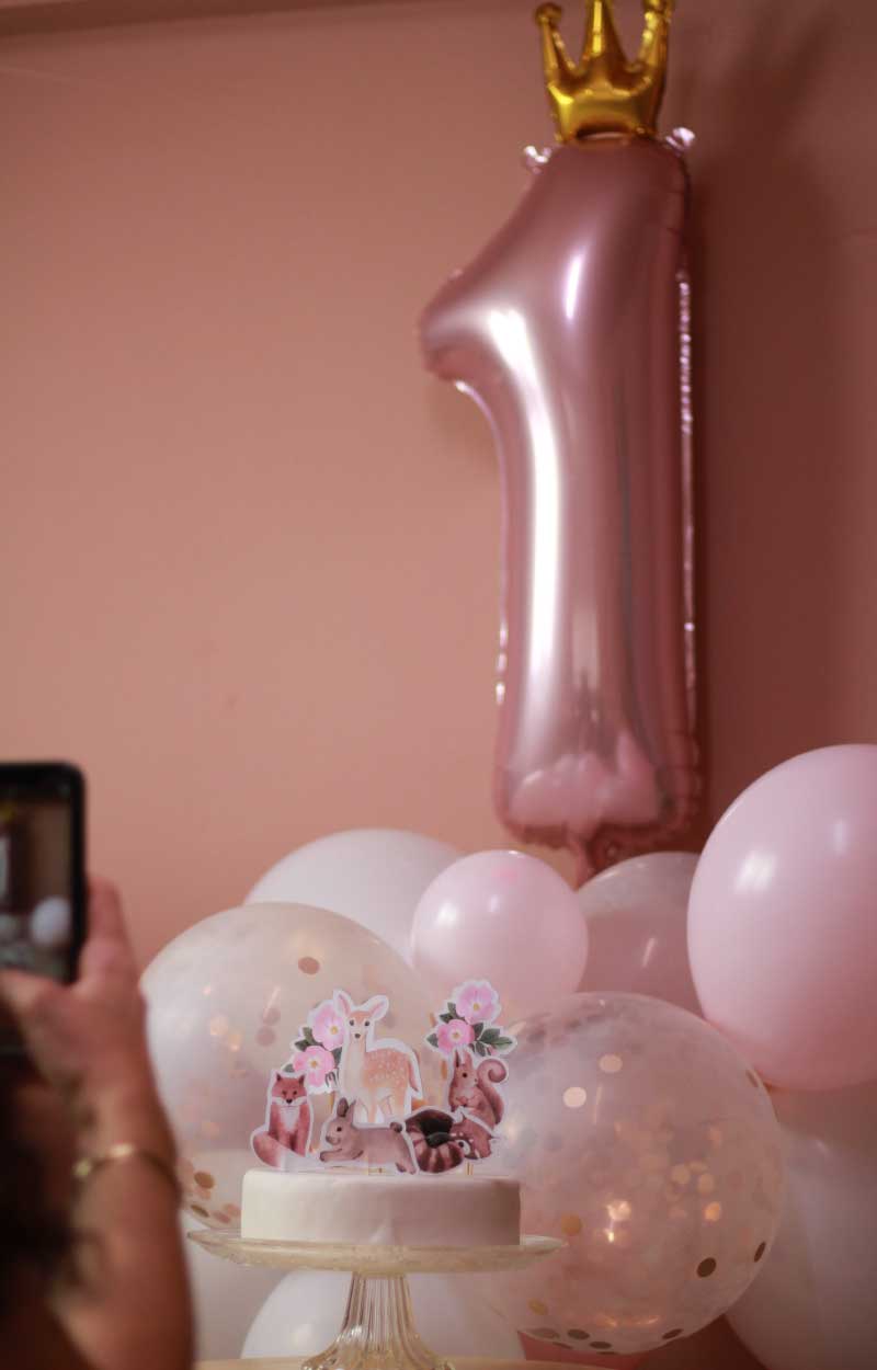 First Birthday Party