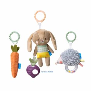 Taf Toys Παιχνίδια Δραστηριοτήτων Activity Toys Kit