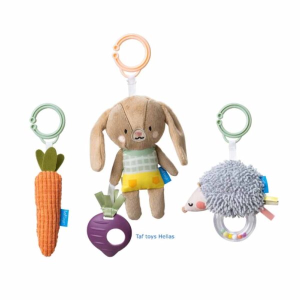 Taf Toys Παιχνίδια Δραστηριοτήτων Activity Toys Kit